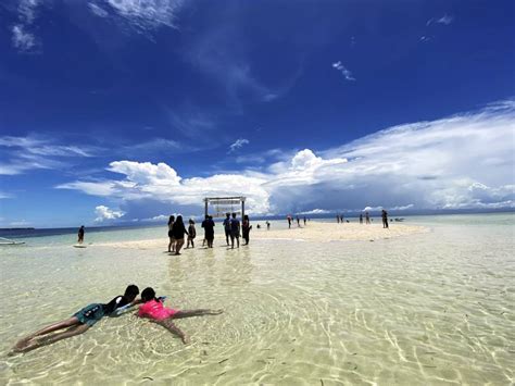 board members of bohol 2023|Bohol opens doors to green projects .